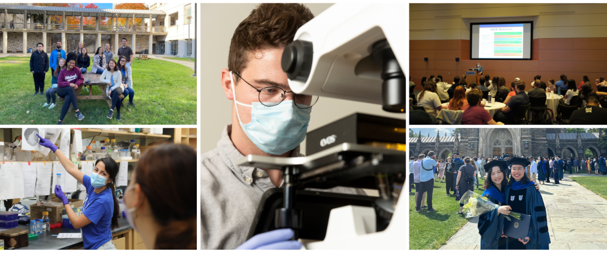 Collage of biomedical science PhD academic activities