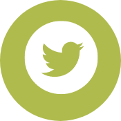DPT Twitter Icon