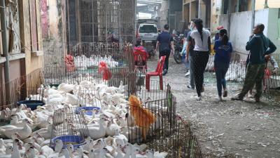 crowded street in Vietnam with people and birds in cages